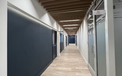Tenants Are Becoming Owners: A Strategic Shift in the Office Market