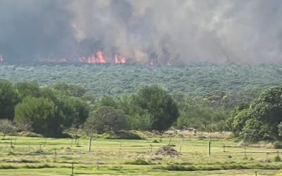 A word from Helt principal, tim Johnston